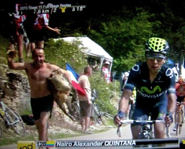 Fan carrying pig, stage 15, TDF, 2013
